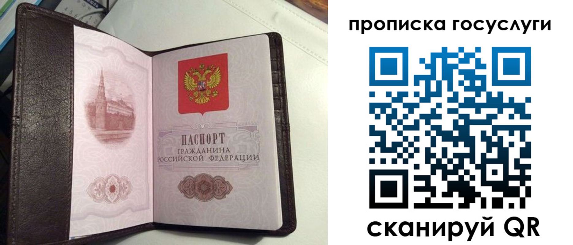 временная прописка в Борзе